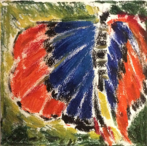 Blue and orange butterfly - Selection Mieux Être