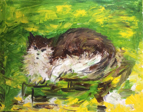 Cluzo the cat - Selection Mieux Être